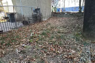 1425 Widener Pl, Philadelphia, PA 19141 - Photo 11