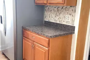451 W Bringhurst St, Philadelphia, PA 19144 - Photo 13