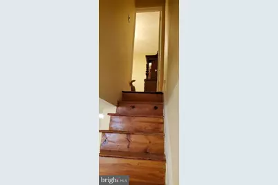 1033 Jackson Street, Philadelphia, PA 19148 - Photo 31