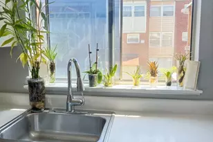 6812 Grebe, Philadelphia, PA 19142 - Photo 11