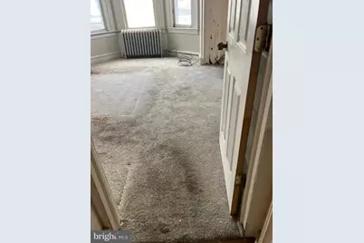 172 W Louden Street, Philadelphia, PA 19120 - Photo 19
