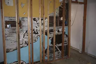 2819 Cantrell St, Philadelphia, PA 19145 - Photo 11