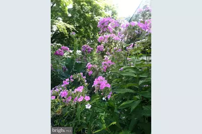 37 E Mermaid Lane, Philadelphia, PA 19118 - Photo 41