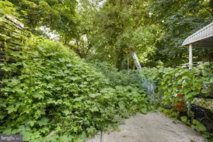 2755 Helen St, Philadelphia, PA 19134 - Photo 19