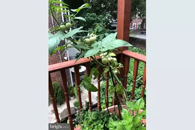 3707 Hamilton Street, Philadelphia, PA 19104 - Photo 29