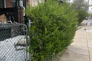 3350 N 22nd St, Philadelphia, PA 19140 - Photo 13