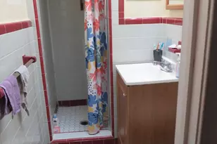232 E Fariston Dr, Philadelphia, PA 19120 - Photo 9