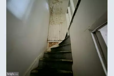 214 E Haines Street, Philadelphia, PA 19144 - Photo 57