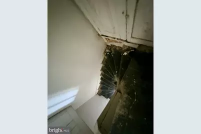 214 E Haines Street, Philadelphia, PA 19144 - Photo 35