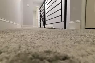 6047 Kershaw St, Philadelphia, PA 19151 - Photo 49