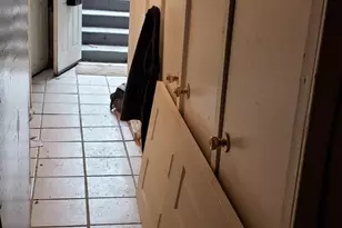 4937 N 5th St, Philadelphia, PA 19120 - Photo 9