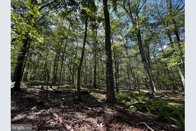 112 Spruce Court Lot 244, Lords Valley, PA 18428 - Photo 27