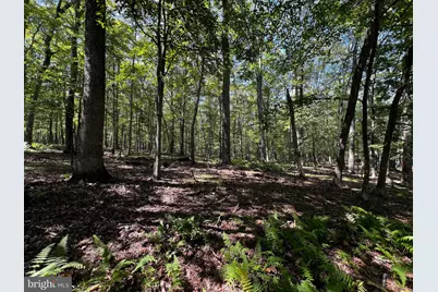 112 Spruce Court Lot 244, Lords Valley, PA 18428 - Photo 3