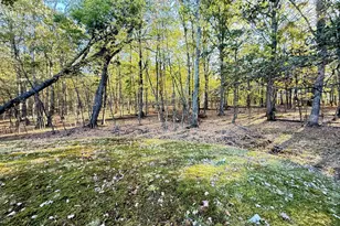 2119 Meadow Lark Cir, Bushkill, PA 18324 - Photo 29