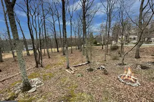 103 Ashley Ct, Bushkill, PA 18324 - Photo 39