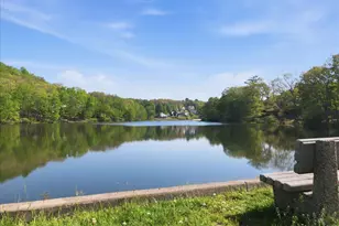 3301 Windermere Dr, Bushkill, PA 18324 - Photo 65