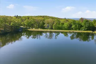 3301 Windermere Dr, Bushkill, PA 18324 - Photo 67