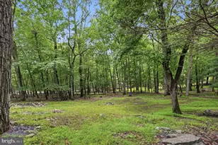 204 Mountain Dr, Dingmans Ferry, PA 18328 - Photo 23