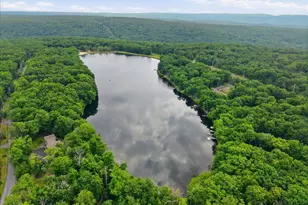2342 Eagle Path, Bushkill, PA 18324 - Photo 49