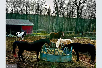 [Address not provided], Bushkill, PA 18324 - Photo 45