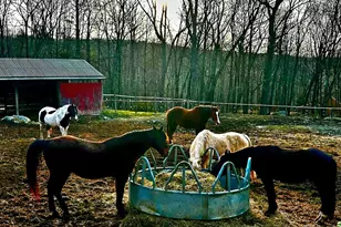 [Address not provided], Bushkill, PA 18324 - Photo 45