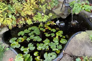 313 N Brookland Road N, Hazleton, PA 16922 - Photo 75