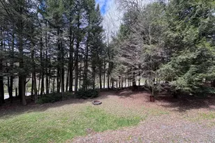 4 Hemlock Ln, Hazleton, PA 16922 - Photo 75