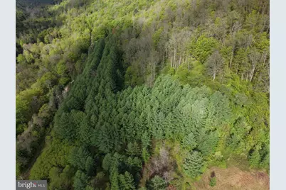 Tract 1: 1226 Cross Fork Creek Rd, Cross Fork, PA 17729 - Photo 17