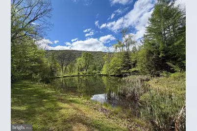 Tract 1: 1226 Cross Fork Creek Rd, Cross Fork, PA 17729 - Photo 57