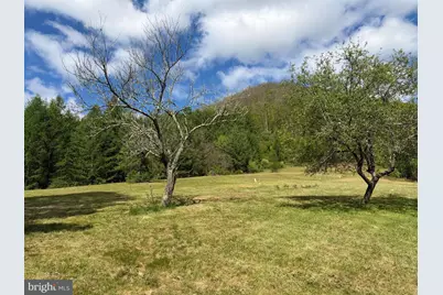 Tract 1: 1226 Cross Fork Creek Rd, Cross Fork, PA 17729 - Photo 47