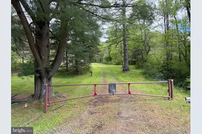 Tract 1: 1226 Cross Fork Creek Rd, Cross Fork, PA 17729 - Photo 137