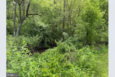 Tract 1: 1226 Cross Fork Creek Rd, Cross Fork, PA 17729 - Photo 35