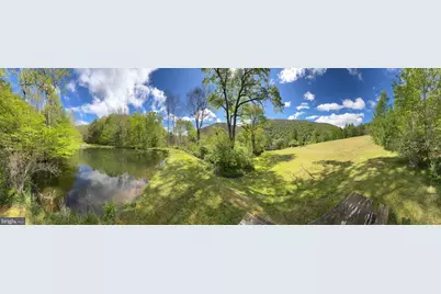 Tract 1: 1226 Cross Fork Creek Rd, Cross Fork, PA 17729 - Photo 69