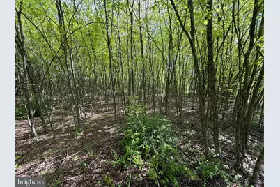 Tract 1: 1226 Cross Fork Creek Rd, Cross Fork, PA 17729 - Photo 77