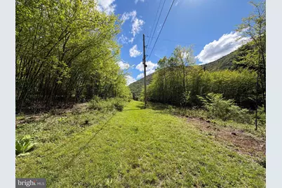 Tract 1: 1226 Cross Fork Creek Rd, Cross Fork, PA 17729 - Photo 79