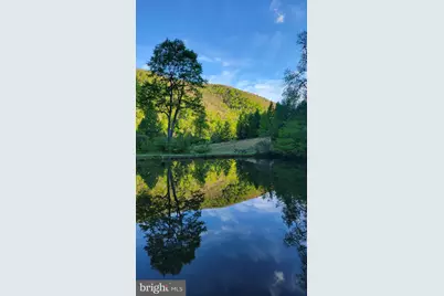 Tract 1: 1226 Cross Fork Creek Rd, Cross Fork, PA 17729 - Photo 141
