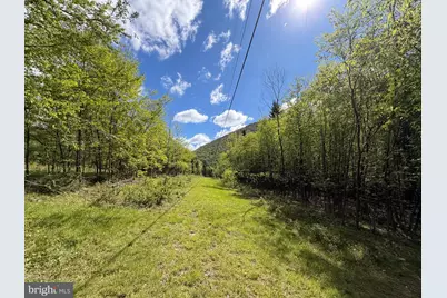 Tract 1: 1226 Cross Fork Creek Rd, Cross Fork, PA 17729 - Photo 81