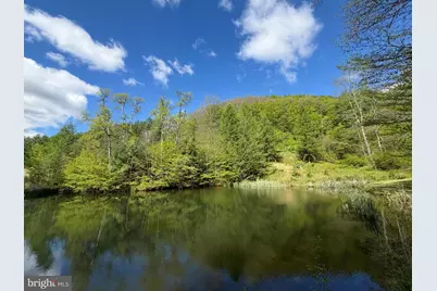 Tract 1: 1226 Cross Fork Creek Rd, Cross Fork, PA 17729 - Photo 67