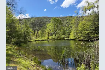 Tract 1: 1226 Cross Fork Creek Rd, Cross Fork, PA 17729 - Photo 65