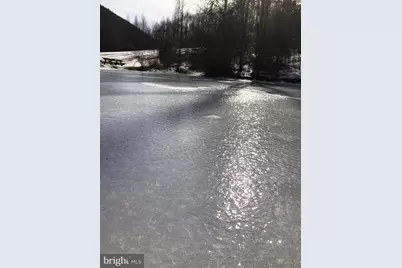 Tract 1: 1226 Cross Fork Creek Rd, Cross Fork, PA 17729 - Photo 143