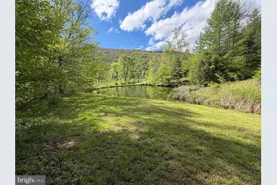 Tract 1: 1226 Cross Fork Creek Rd, Cross Fork, PA 17729 - Photo 63