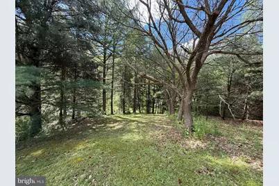 Tract 1: 1226 Cross Fork Creek Rd, Cross Fork, PA 17729 - Photo 85