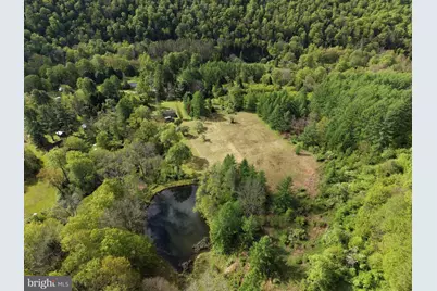 Tract 1: 1226 Cross Fork Creek Rd, Cross Fork, PA 17729 - Photo 13