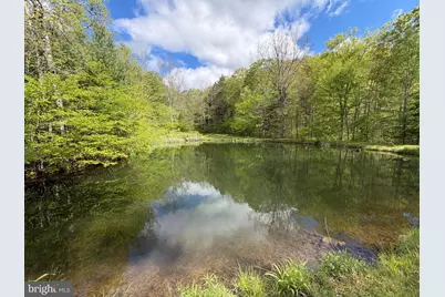 Tract 1: 1226 Cross Fork Creek Rd, Cross Fork, PA 17729 - Photo 53