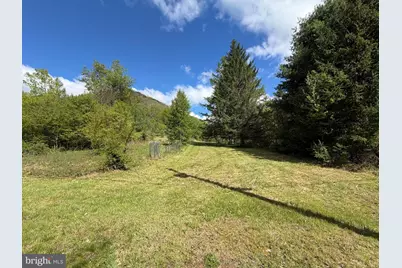 Tract 1: 1226 Cross Fork Creek Rd, Cross Fork, PA 17729 - Photo 83