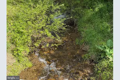 Tract 1: 1226 Cross Fork Creek Rd, Cross Fork, PA 17729 - Photo 89