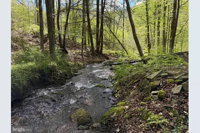 Tract 1: 1226 Cross Fork Creek Rd, Cross Fork, PA 17729 - Photo 61