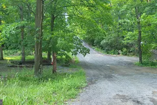 200 Pisgah Rest, Shermans Dale, PA 17090 - Photo 23