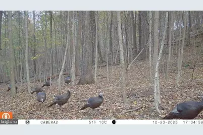 740 Hidden Valley Road, Loysville, PA 17047 - Photo 29