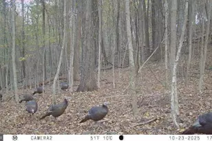 740 Hidden Valley Rd, Loysville, PA 17047 - Photo 29